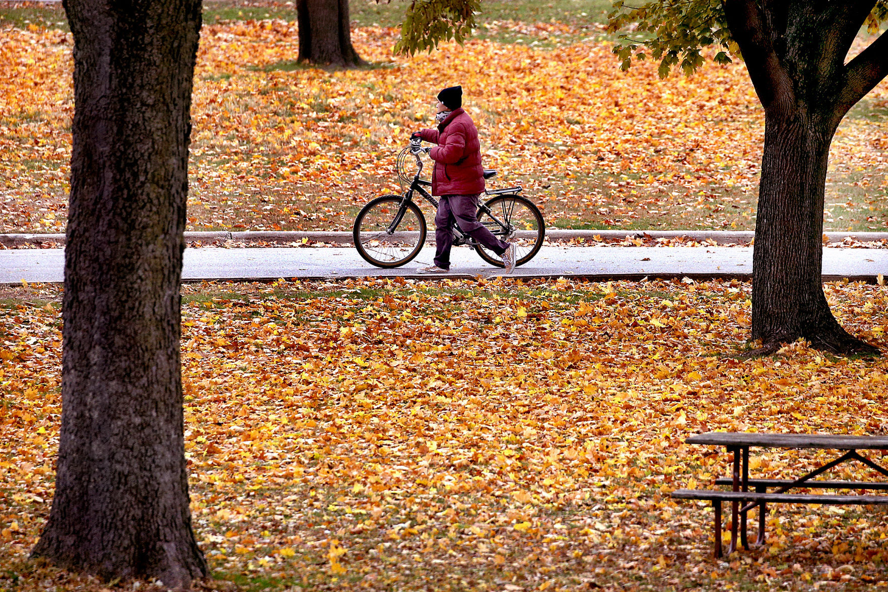 Walking your ride